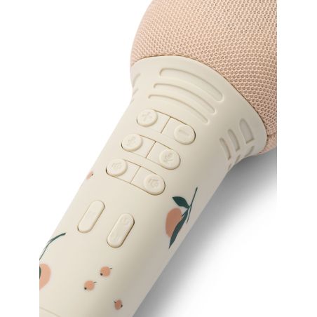 Micro de Karaoké Beinta | Pêche