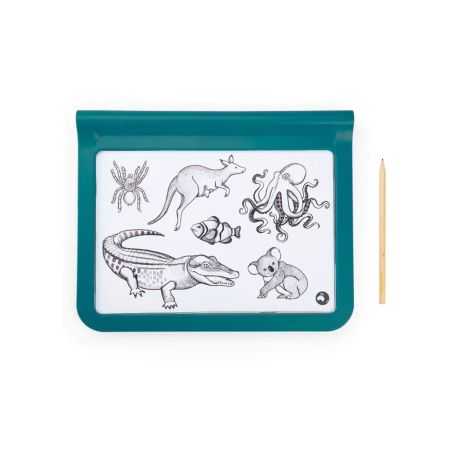 Tablette lumineuse recto verso | Kidywolf x Moulin Roty