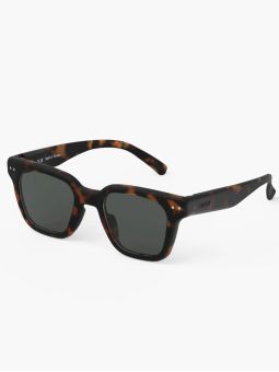 Lunettes de soleil adultes | Road Tortoise